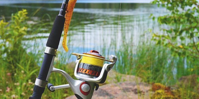 Laut dem Schweizerische Fischerei-Verband besteht in Sachen Pestizide dringender Handlungsbedarf. (Bild Pixabay)