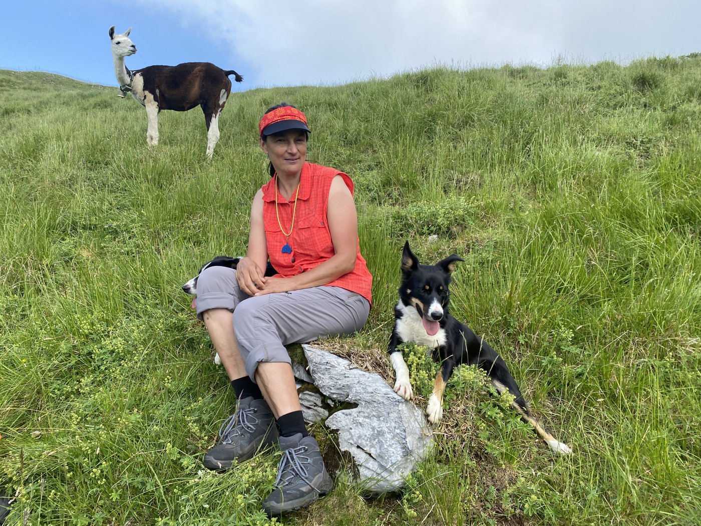 Lisbeth Luchsinger mit ihren beiden Border Collies Samira und Briana. Zusammen mit den beiden Lamas Luigi (im Bild) und Kishu tragen sie zum Schutz der Schafherde bei. (Bilder Katrin Erfurt)