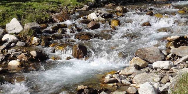 Die Grenzwerte für verschiedene Stoffe in Bächen, Flüssen und Seen sollen erhöht werden. (Symbolbild lid)