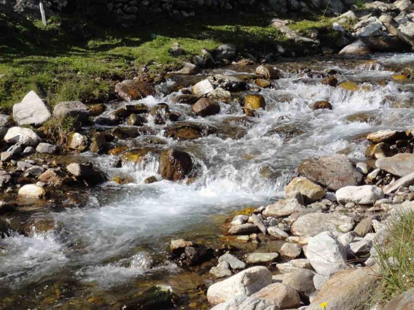 Die Grenzwerte für verschiedene Stoffe in Bächen, Flüssen und Seen sollen erhöht werden. (Symbolbild lid)