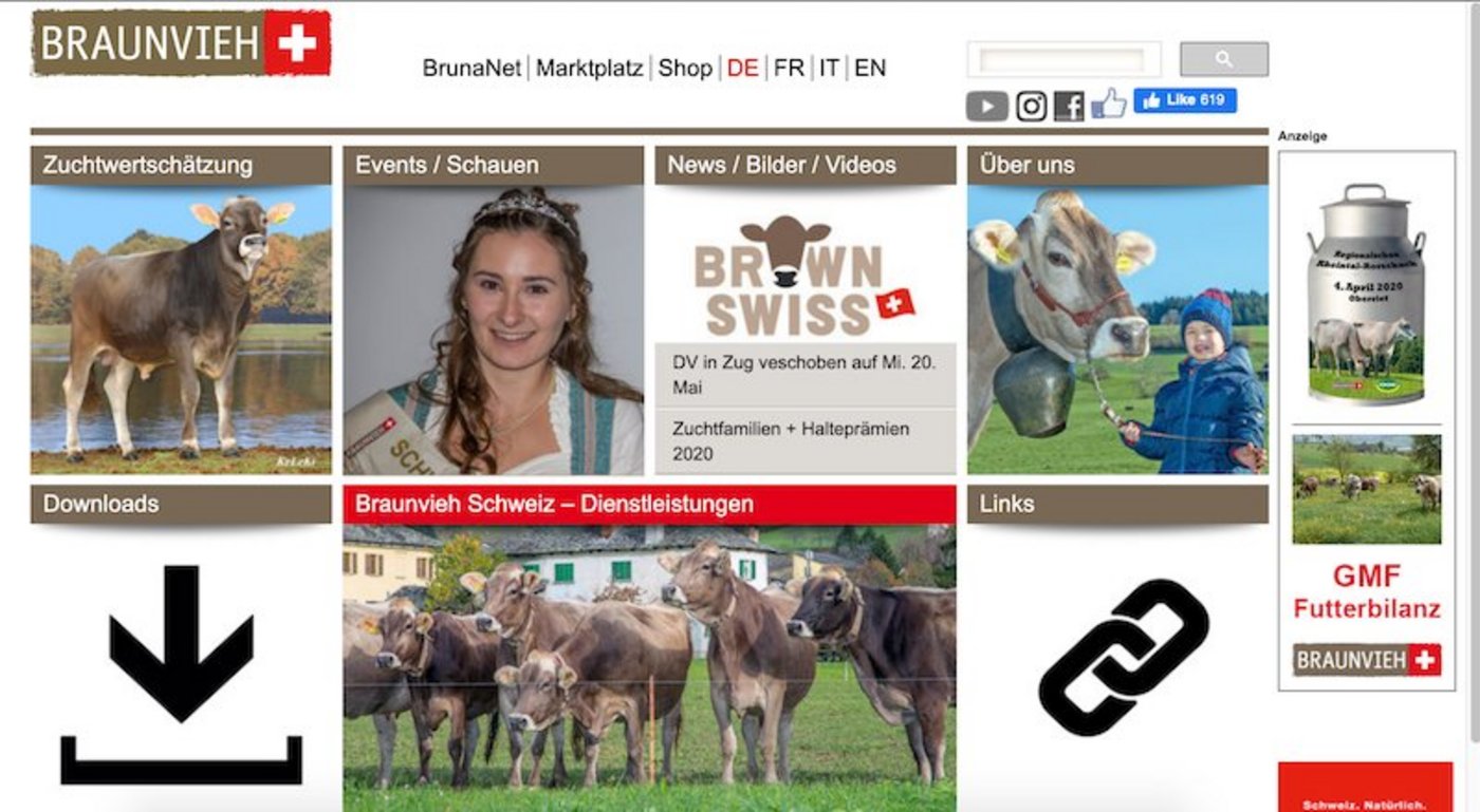 Neues Datum für die DV von Braunvieh Schweiz: 20. Mai in Zug. (Bild pf)