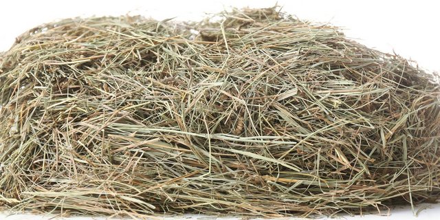 Ein Haufen Heu vor weissem Hintergrund.