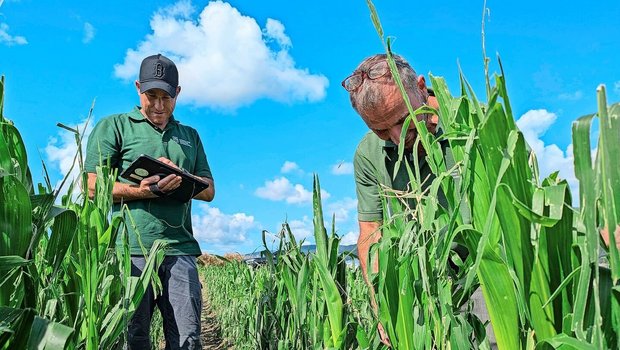 Ein Ernteverlust ist emotional belastend. Darum brauchen die Expertinnen und Experten bei der Beurteilung des Schadens Fingerspitzengefühl.