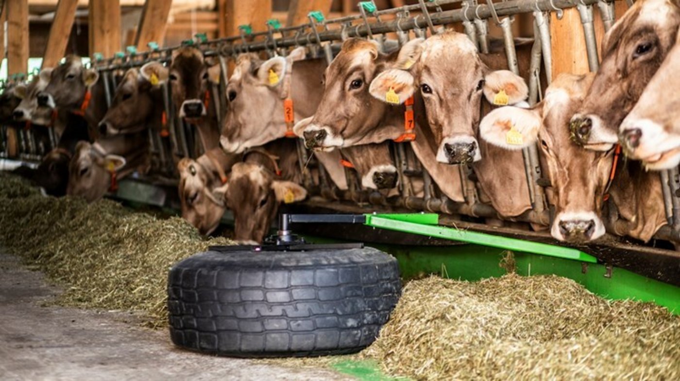 Der Futterschieber war der Gewinner des Innovationspreises 2019 (Bild: Pia Neuenschwander)