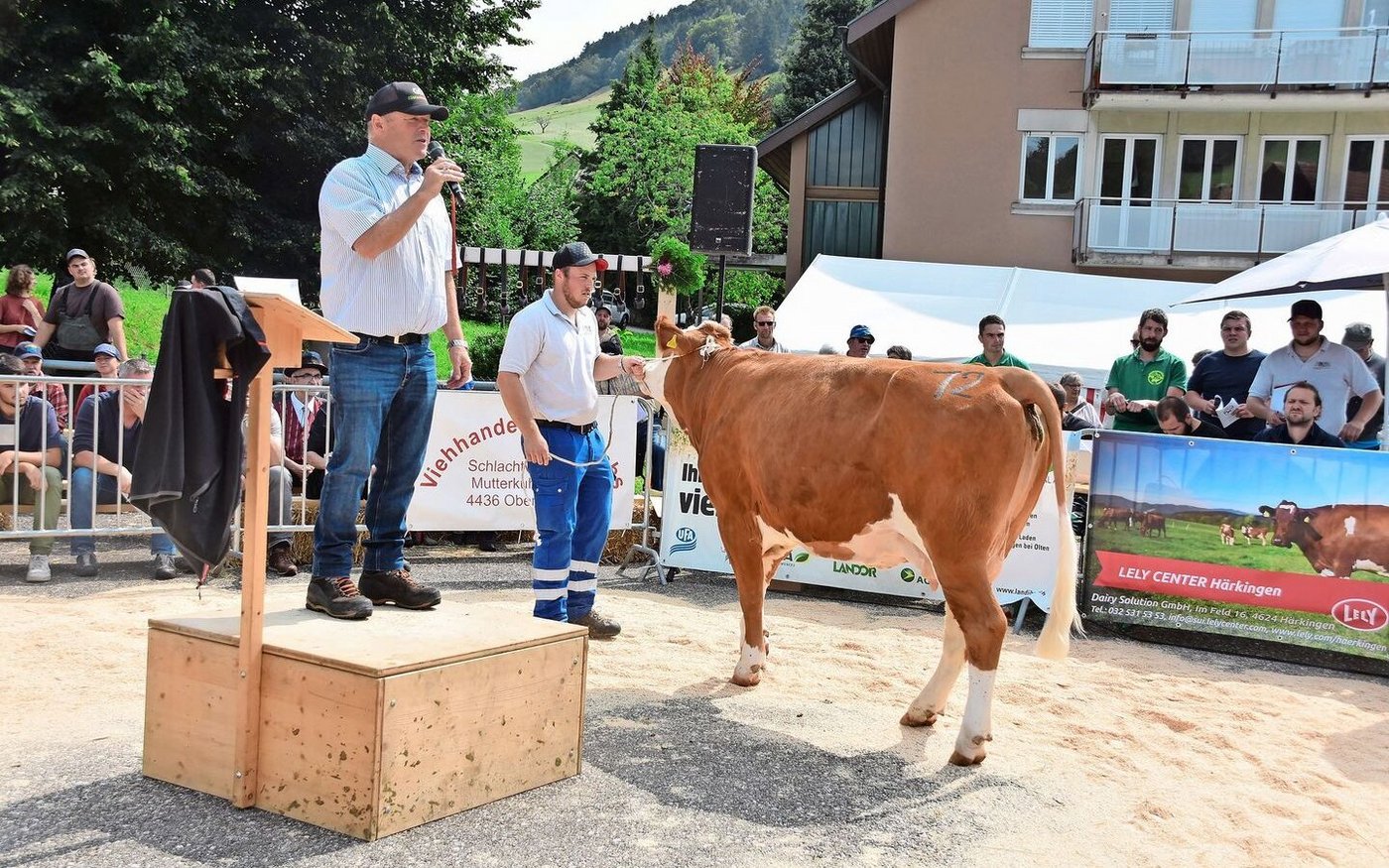 Die Simmentalerkuh Veru Akaley von Christoph Gerber, Langenbruck, konnte für 4050 Franken zugeschlagen werden.