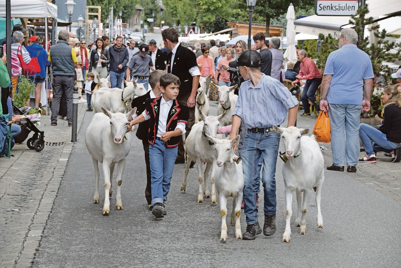 Wie könnte es anders sein: Saanenziegen aus dem Saanenland, präsentiert von Mathias von Siebenthal. 