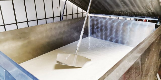 Zweimal monatlich wird jeweils eine offizielle Tankmilchprobe entnommen.(Bild Simone Barth).