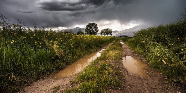 Langsam aber sicher wird es des Wassers zu viel: Die Böden sind gesättigt, die Grundwasserspiegel und Seepegel hoch. (Bild Pixabay) 