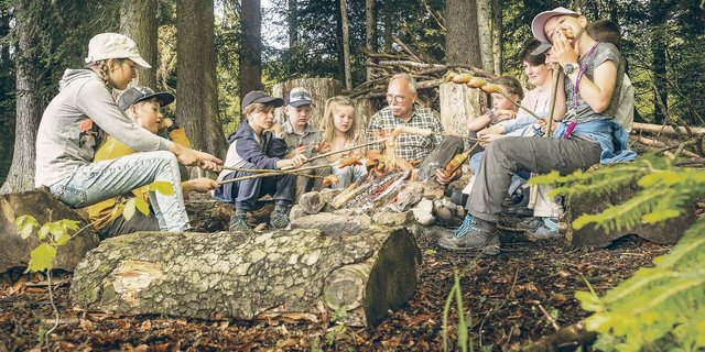 Aufenthalte im Wald sind beliebt, beispielsweise für ein Picknick. Erwartet wird aber mehr Rücksicht.  