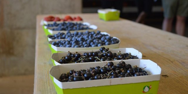 Der Anteil Biofläche in der Schweiz beträgt aktuell 16 Prozent, in der EU liegt er bei 7,7 Prozent. Angestrebt werden 25 Prozent EU-Bioflächen bis 2030. (Bild BauZ)  