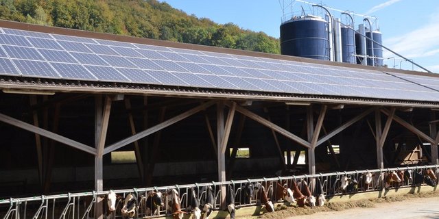 Je stärker geneigt das Dach ist, desto effektiver kann der Regen Staub und anderen Schmutz abwaschen. (Bild BauZ)