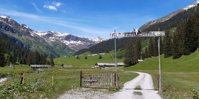 Corona-bedingt gab es eine lange Wartezeit, nun aber kann wieder ein Sommerevent von Braunvieh Schweiz stattfinden. (Bild Braunvieh Schweiz)