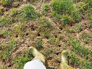 Die Mäusesprenger wurden frei gesprochen Und jetzt? Es wird empfohlen, bei der Bekämpfung von Mäusen auf den Rodenator zu verzichten. Die Rechtslage ist unklar.(Bild Dominik Amrein, BBZN Hohenrain)