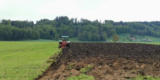 Der Pflug unterdrückt Unkraut auf mechanische Weise. Weil sein Einsatz viel Kraftstoff braucht und den natürlichen Aufbau eines gesunden Bodens stört, sehen viele Landwirte zusehends Nachteile im Pflug. (Bild mg) 
