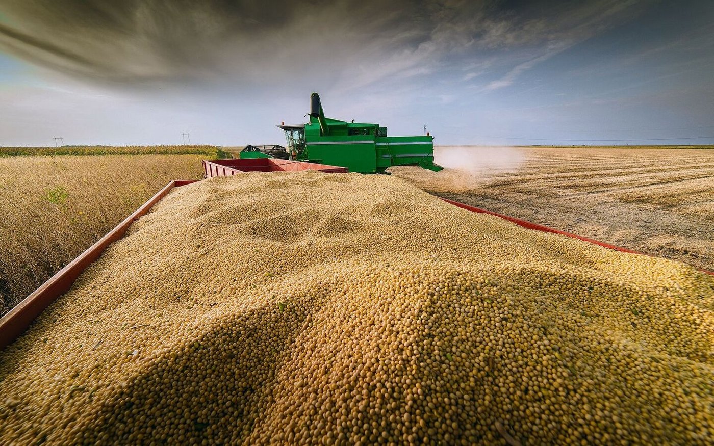 Die Prognosen zur diesjährigen Sojaernte werden derzeit nach unten korrigiert, was die hohen Preise stützt. Aber GVO-freies Soja sei preislich wegen sinkender Nachfrage unter Druck.