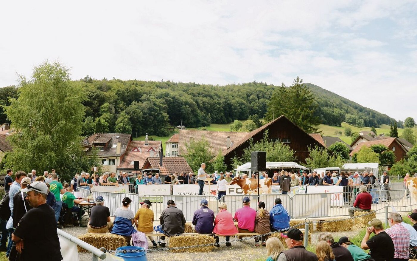 Der Ring ist in den letzten zwei Jahren kleiner geworden. Das Interesse von Verkäufern und Käufern ist hingegen gleich geblieben.