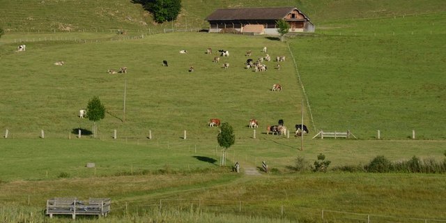 Im Alp-Pflegekurs lernen die Zivildienstleistenden unter anderem, wie man Weiden einzäunt. (Bild BauZ)