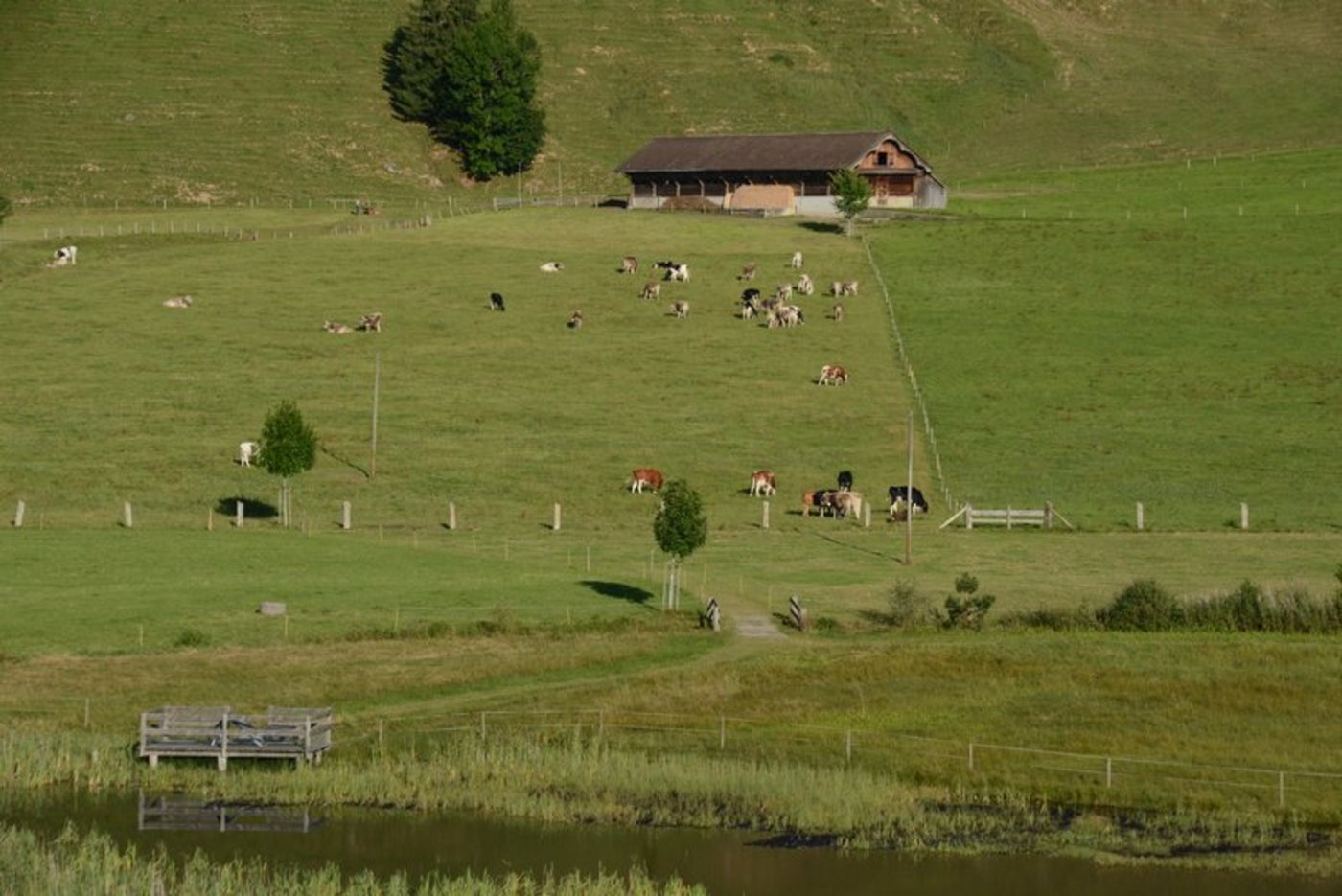 Im Alp-Pflegekurs lernen die Zivildienstleistenden unter anderem, wie man Weiden einzäunt. (Bild BauZ)