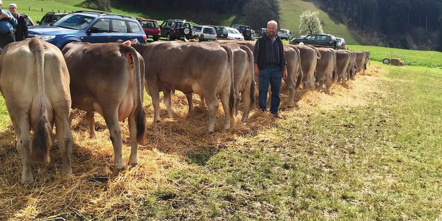 Werner Furrer freut sich über das gute Resultat von A 57 Punkten an der Halteprämienschau seines Stieres Hugo OB. (Bilder Adrian Arnold)
