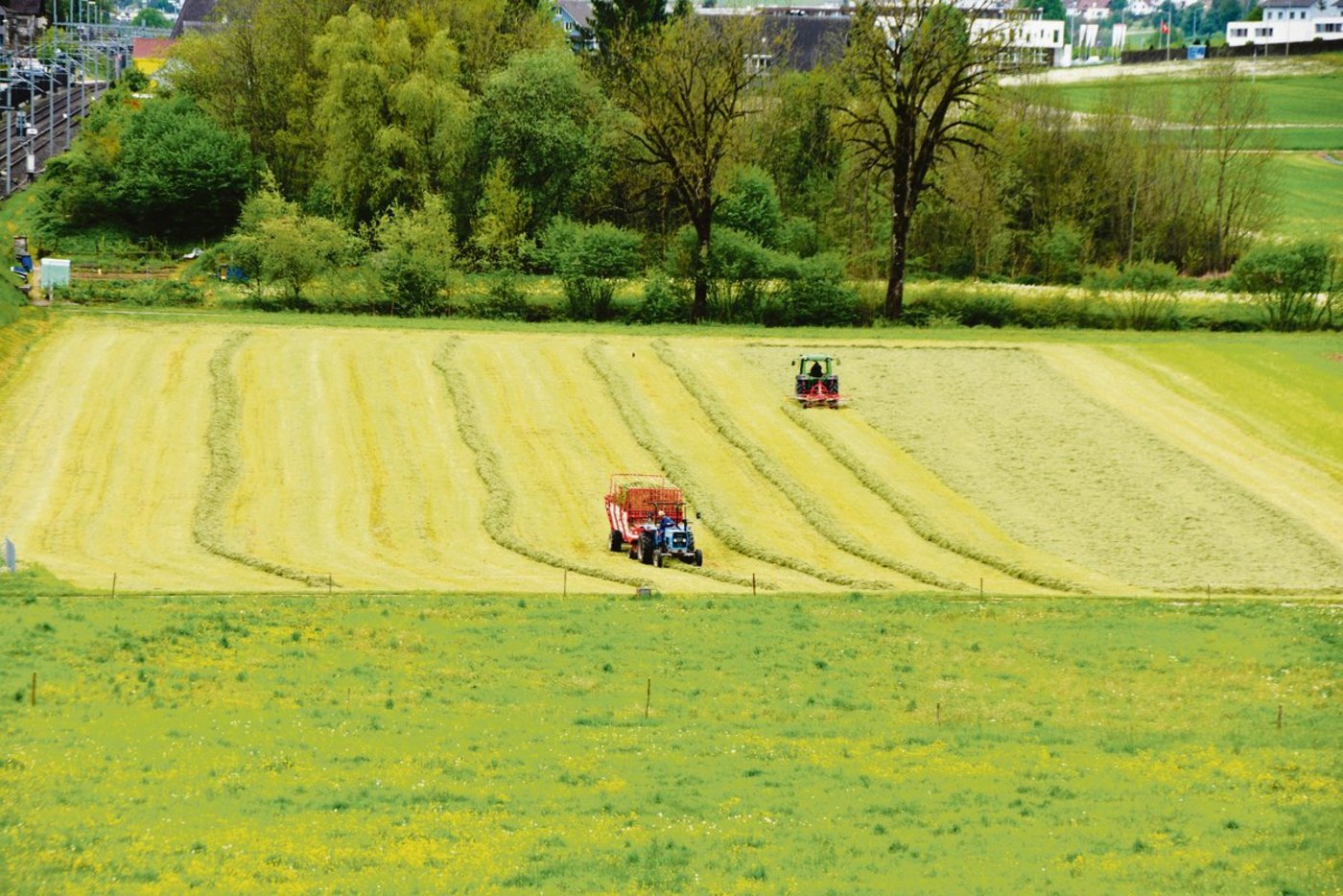 Im Talgebiet wurde schon eifrig einsiliert. Die Qualität hängt dabei von vielen Faktoren ab.(Bild BauZ)