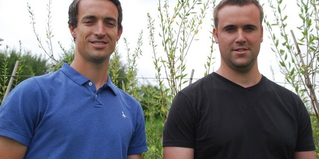 Simon und Christoph Räss (r.) setzen auf Wildbeeren. (Bilder rb)