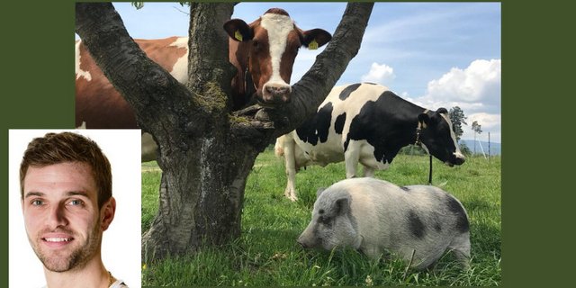 Während seiner Ausbildung und besonderes während des Abstimmungskampfs um die Pflanzenschutz-Initiativen bekam Lukas Streit den Eindruck, dass viele ein falsches Bild von der Landwirtschaft haben. (Bild Lukas Streit)