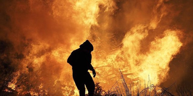 Ein australischer Feuerwehrmann ist im «Megafeu» ums Leben gekommen. (Symbolbild Pixabay)