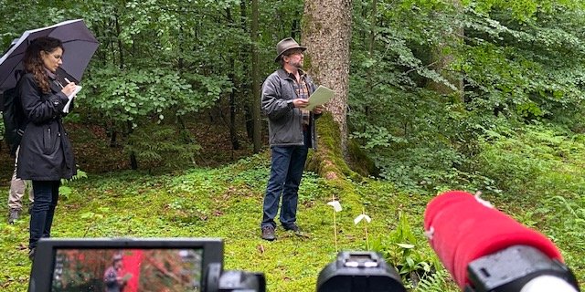 Grosses Medieninteresse am Wald: Urs-Beat Brändli präsentiert die Ergebnisse des 4. Landesforstinventars. (Bild akr)