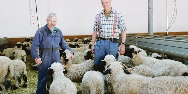 Paul Julen (rechts) ist Eigentümer von «Tradition Julen», neben ihm steht sein Schafhirte und Metzger Christian Furger.