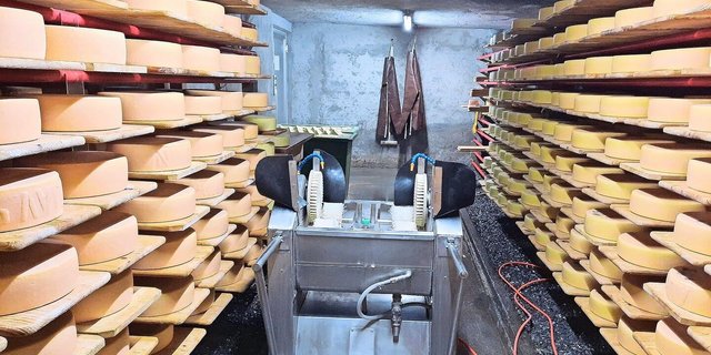 Der Käsekeller ist voll, die Bauernfamilien dürfen die ersten Laibe abholen.