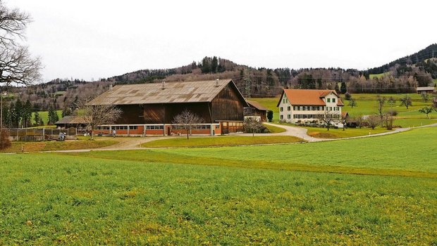 Kontinuität statt Auflösung jahrzehntelager Arbeit in Nichts: Landwirtschaftsbetriebe können durch die ausserfamiliäre Nachfolge intakt bleiben.
