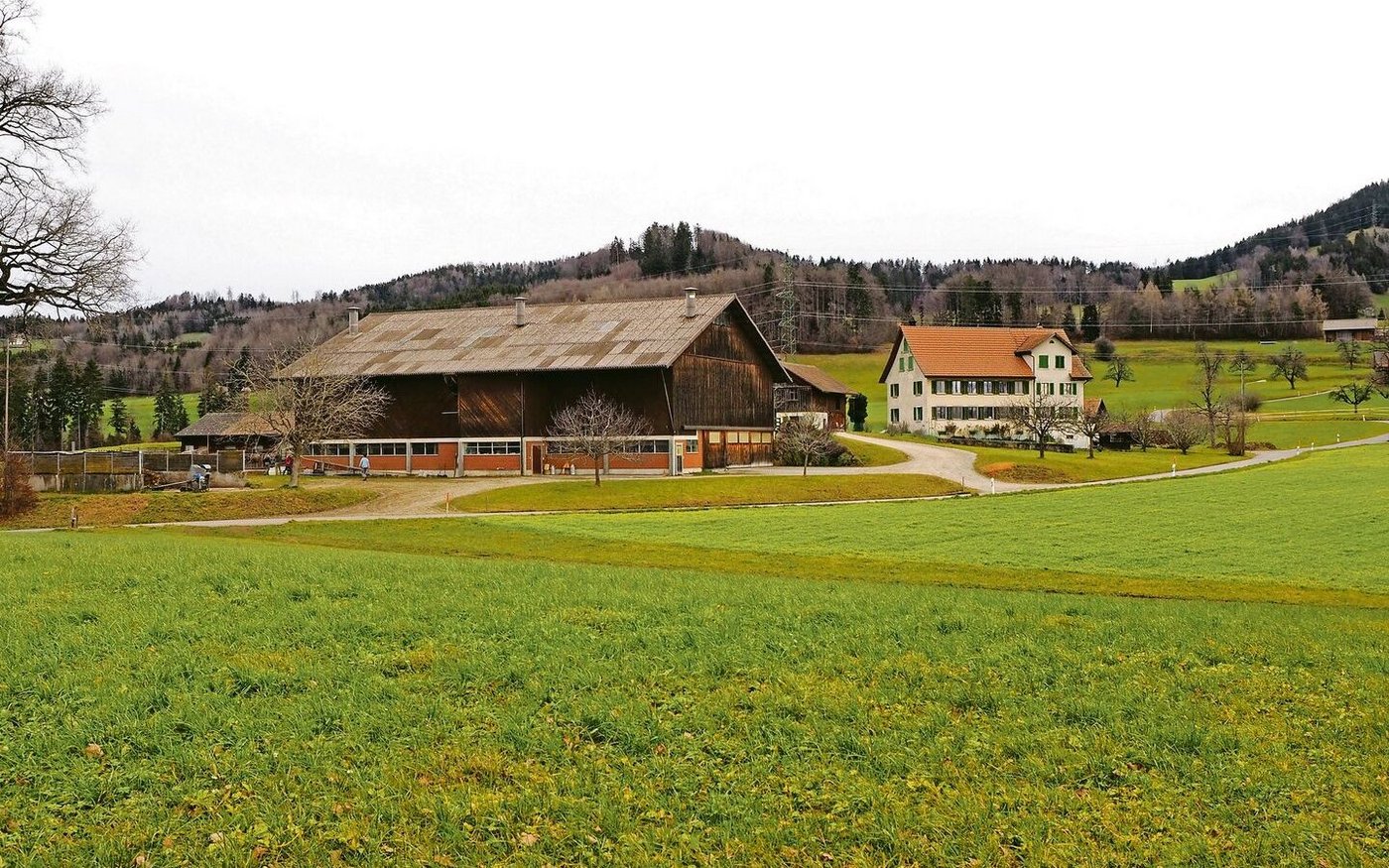 Kontinuität statt Auflösung jahrzehntelager Arbeit in Nichts: Landwirtschaftsbetriebe können durch die ausserfamiliäre Nachfolge intakt bleiben.