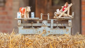 Milchproduzenten schöpfen ihre Motivation laut Studie oft aus der besonderen Lebensweise mit viel Autonomie, Kontakt zu Tieren, Arbeit in der Familie und verbunden mit der Natur. Idealerweise sollte das die hohe Arbeitsbelastung und das Angebundensein ausgleichen. (Bild BFH-HAFL) 