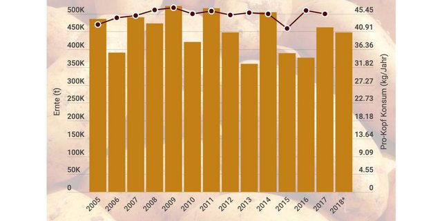 Die Gesamternte und Pro-Kopf Konsum von Kartoffeln von 2005 bis 2018. (Bild lid)