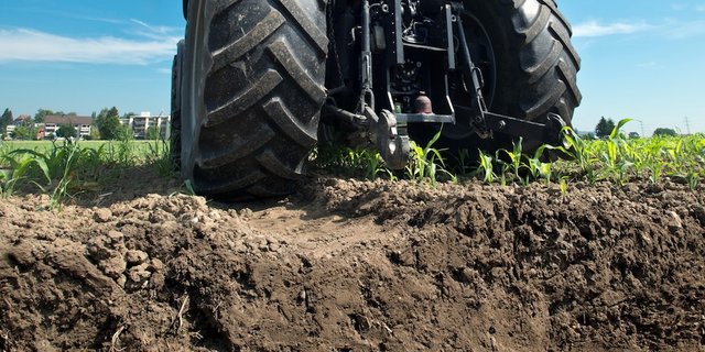 Der finanzielle Schaden für die Landwirtschaft ist beträchtlicht, so Agroscope. So gebe es Ernteverluste, Überschwemmungsschäden oder erhöhte Treibhausgasemissionen. (Bild Agroscope)