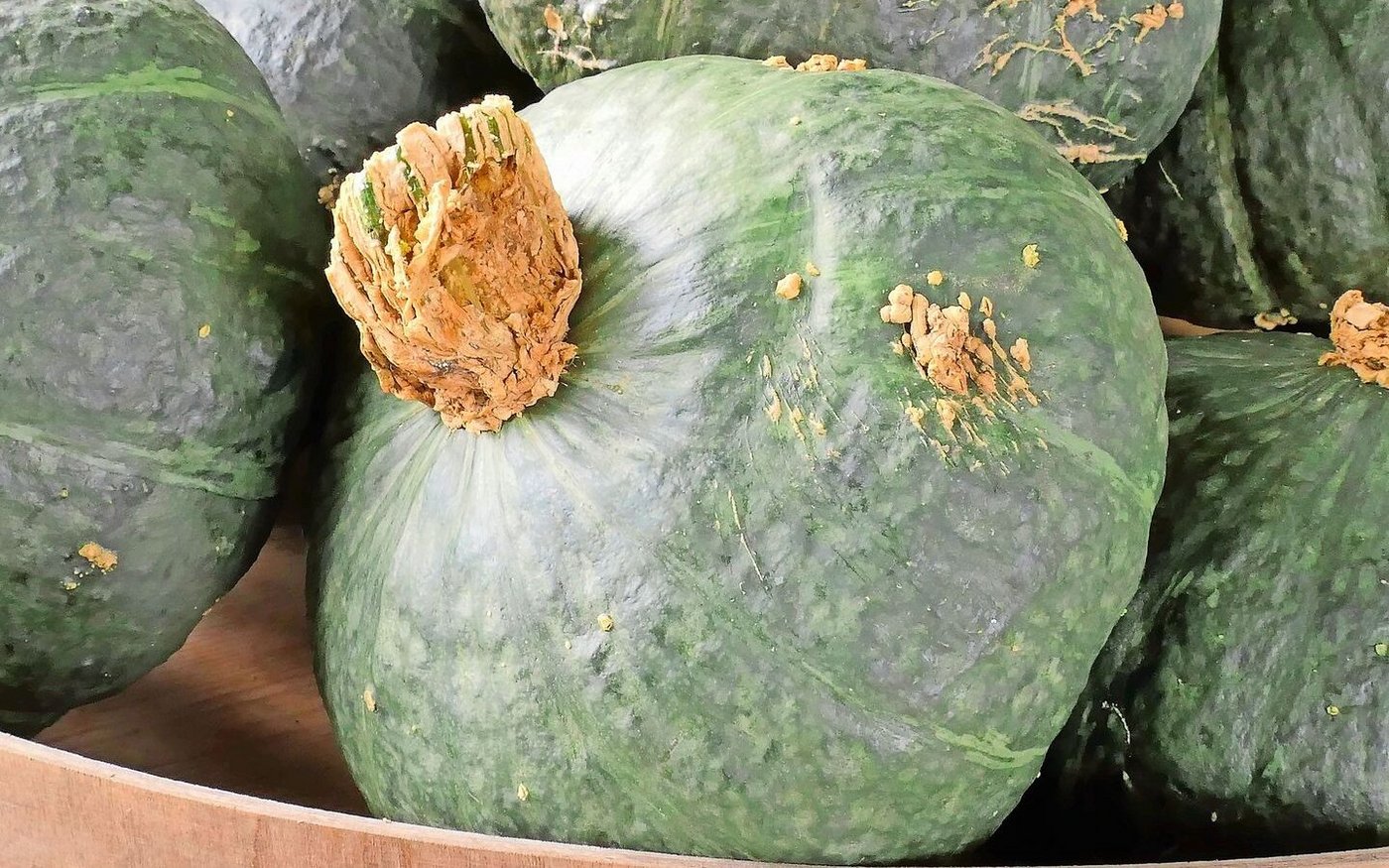 Der Grüne Hokkaido ist Jana Schwaningers Lieblingskürbis. Sein Fruchtfleisch ist orange, der Geschmack besonders gut.