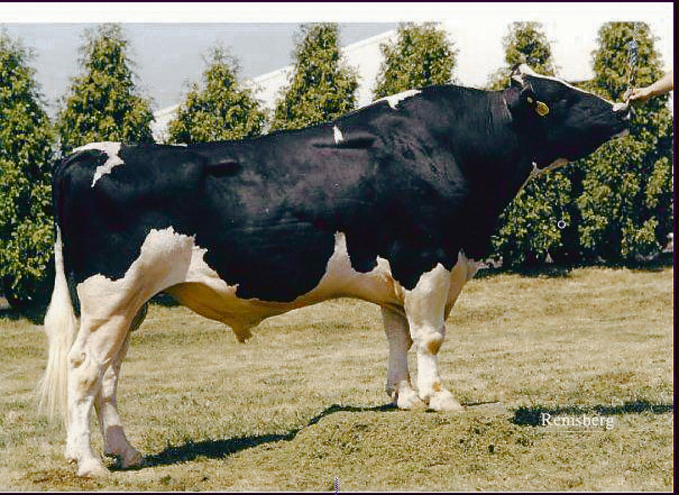  Shoremar James (Stelbro Aerostar Jenine)