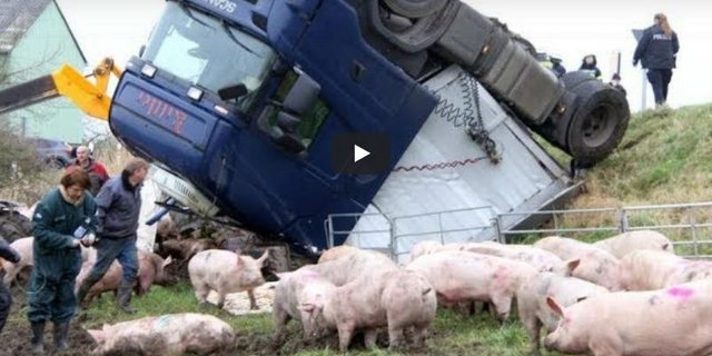 Der Laster kippte aus noch ungeklärten Gründen von einem Deich. (Bild Youtube/Deutsche News)