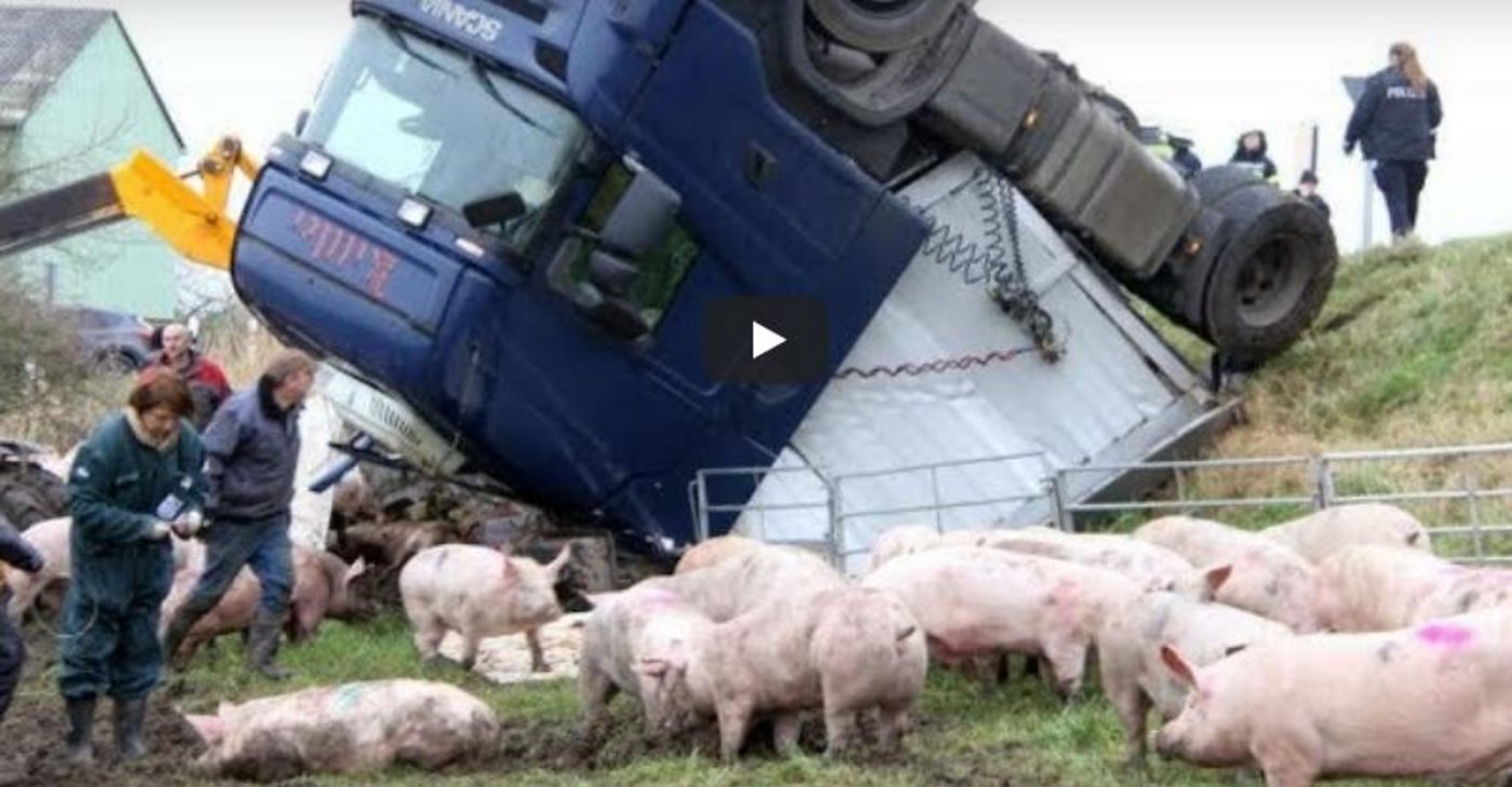 Der Laster kippte aus noch ungeklärten Gründen von einem Deich. (Bild Youtube/Deutsche News)