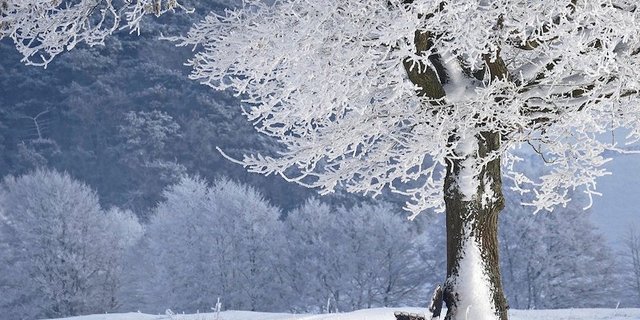 In der ganzen Schweiz herrschen Temperaturen unter Null. (Symbolbild Pixabay)