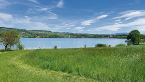 Wegen überwiegender Interessen des Naturschutzes gelten am Baldeggersee teils stark erweiterte Gewässerräume. Die Festlegung gibt im Kantonsrat zu reden. 
