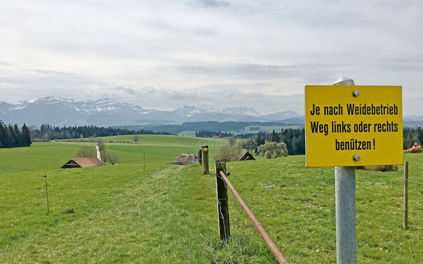 Bei Wegen durch Weiden ist Vorsicht geboten. Hunde sind an der Leine zu führen, ausser bei Angriffen von Rindvieh. 