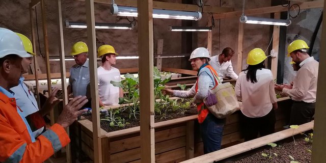 Besucher begutachten die unterirdische Versuchsfläche. (Bider sbu)