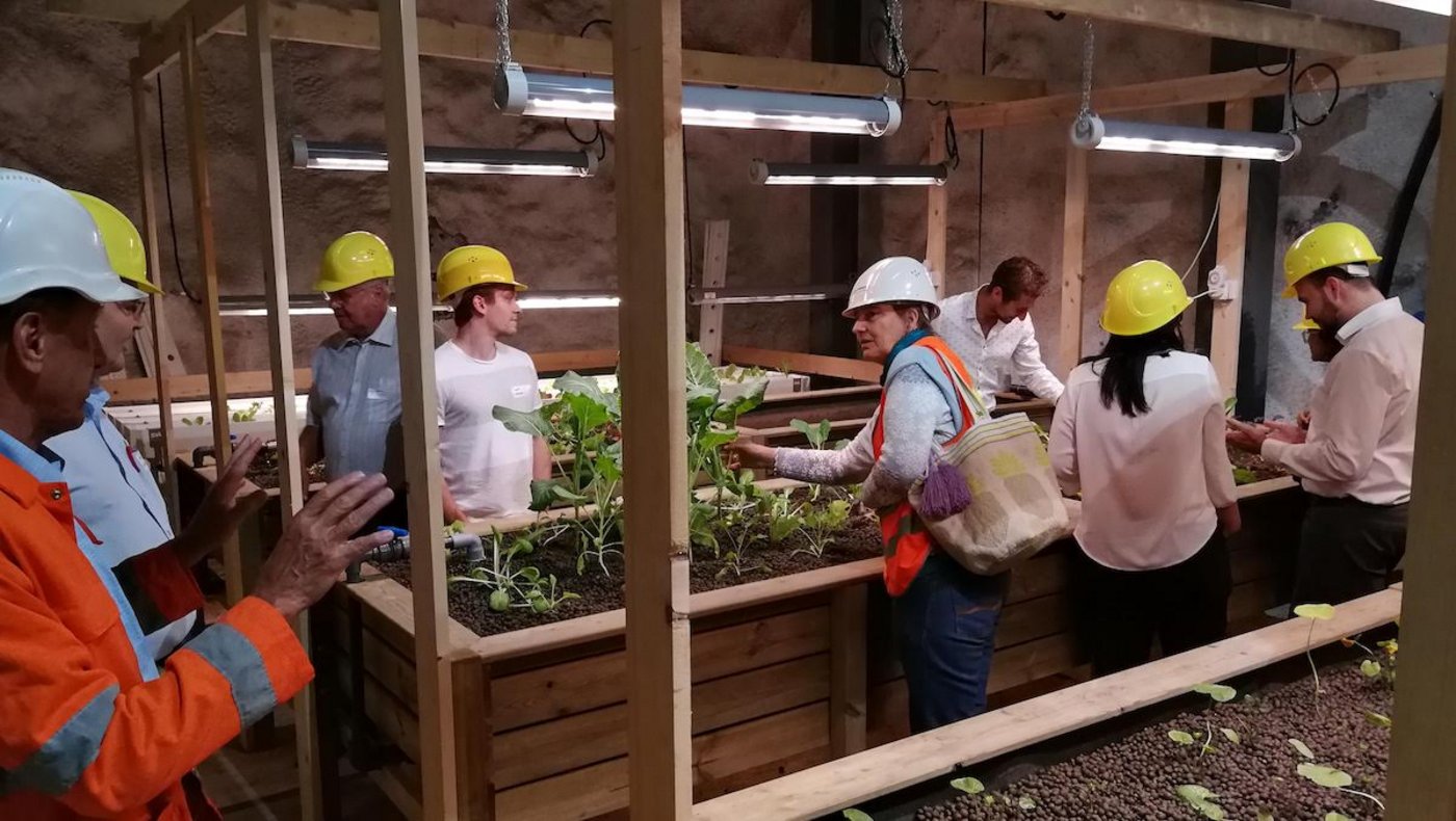 Besucher begutachten die unterirdische Versuchsfläche. (Bider sbu)