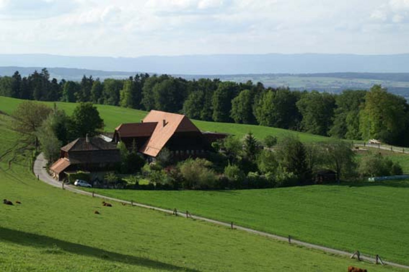 Die Kleinbauern-Vereinigung befürchtet, dass Quereinsteiger von den Unterstützungsgeldern ausgeschlossen werden könnten. (Bild lid)