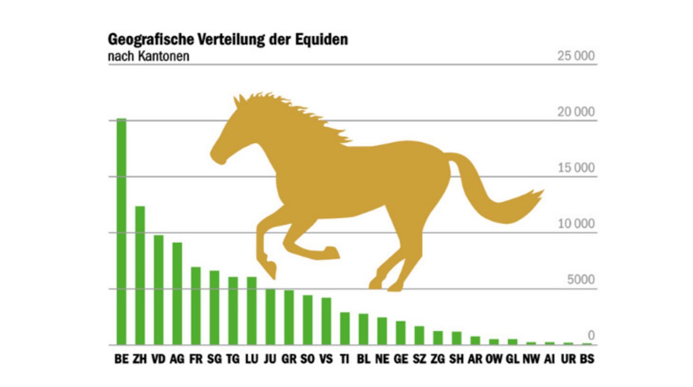 Bei der Anzahl Pferde gibt es grosse Unterschiede je nach Kanton. (Grafik  mi/Quelle Agroscope) 