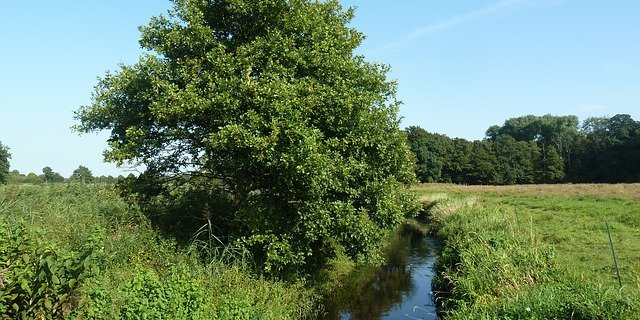 Fruchtfolgeflächen, die ohne grossen Aufwand wieder zur Produktion eingesetzt werden können, müssen nicht kompensiert werden. (Symbolbild Pixabay)