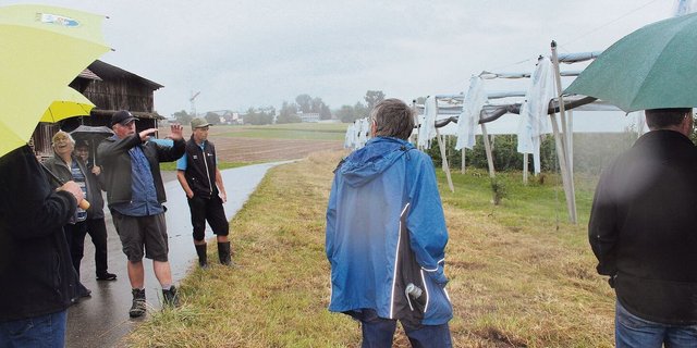 Martin Meier zeigt seine Obstanlagen, die ein Tornado im Sommer 2021 verwüstete. 
