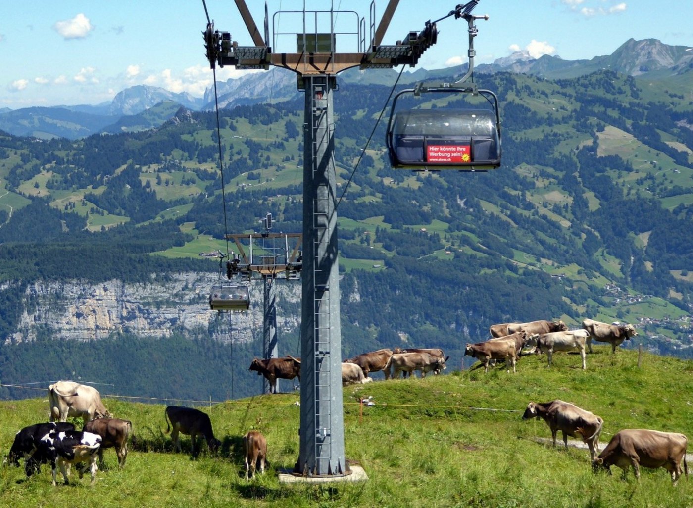 Tourismus und Landwirtschaft sind aufeinander angewiesen. (Emilia Lacko/landwirtschaft.ch