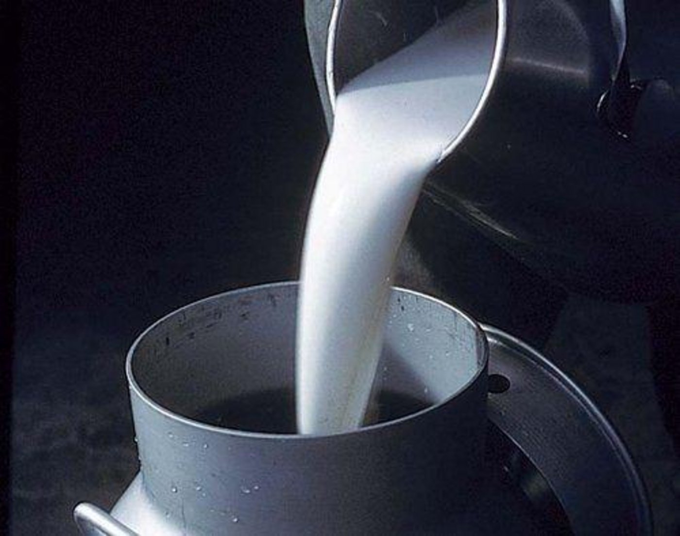 Elsa erhöht seine Schwyzer-Milchhuus-Beteiligung von 34 auf 60 Prozent. (Bild zVg)